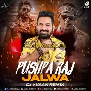 Pushpa 2 X Jalwa (Remix) – DJ Vvaan